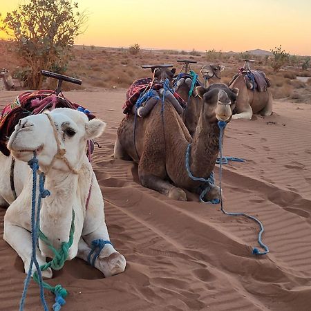 Desert Bivouac Mhamid M'Hamid Ngoại thất bức ảnh