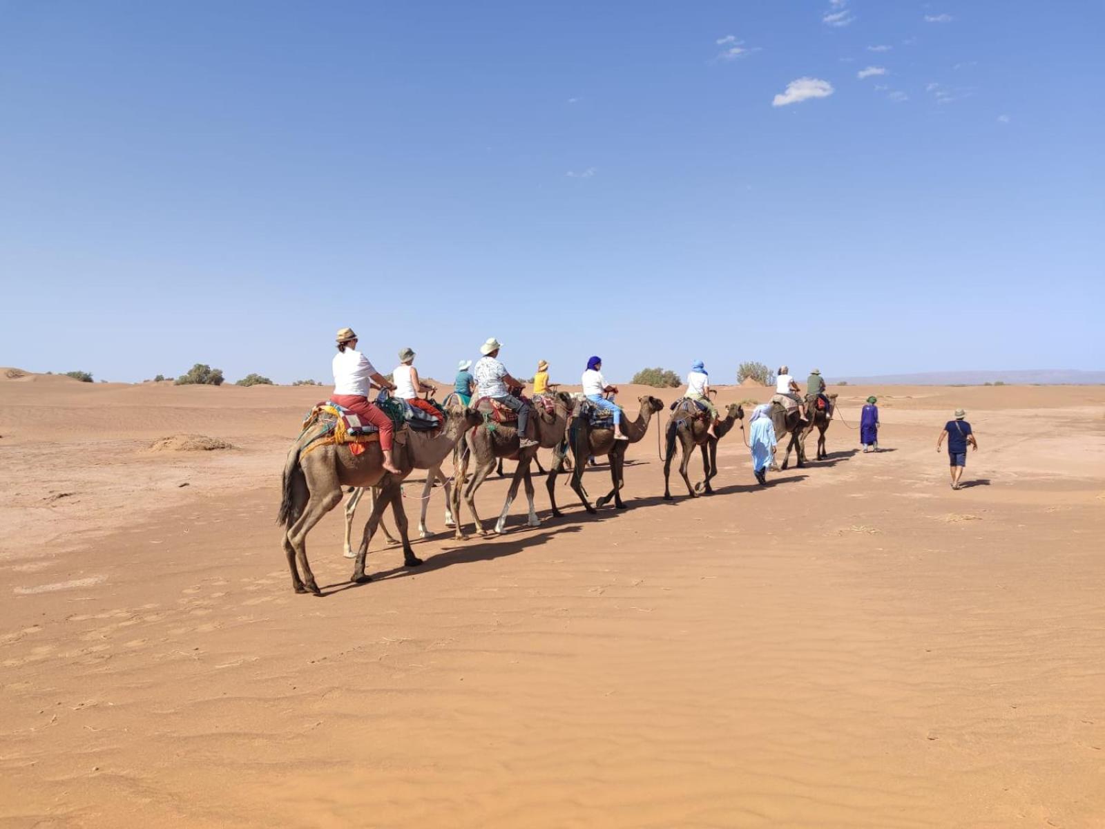 Desert Bivouac Mhamid M'Hamid Ngoại thất bức ảnh