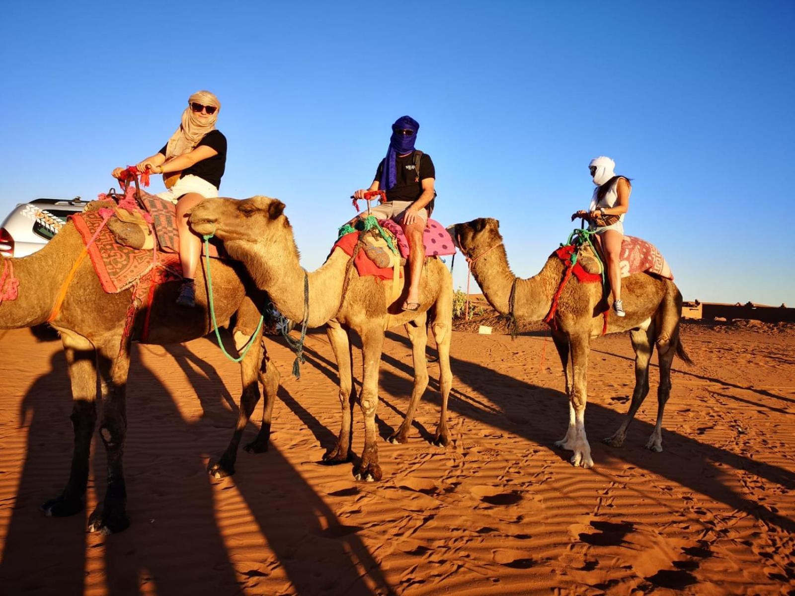 Desert Bivouac Mhamid M'Hamid Ngoại thất bức ảnh