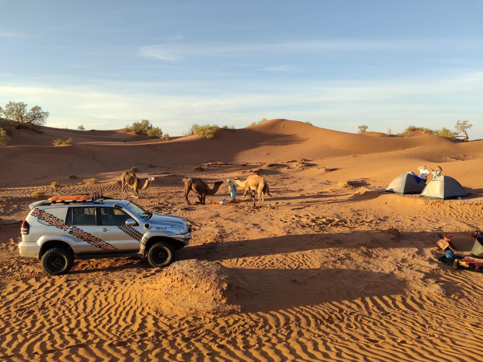 Desert Bivouac Mhamid M'Hamid Ngoại thất bức ảnh